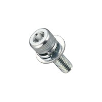 HEXAGON SOCKET CAP SCREW(W/SW,FW TRIVAL)