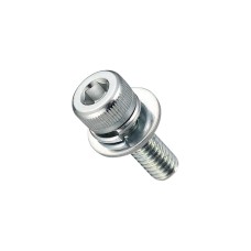HEXAGON SOCKET CAP SCREW(W/SW,FW TRIVAL)