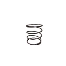 SPRING FOR PISTON