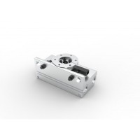 ROTARY ACTUATOR